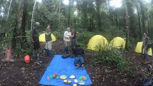 Leuser national park